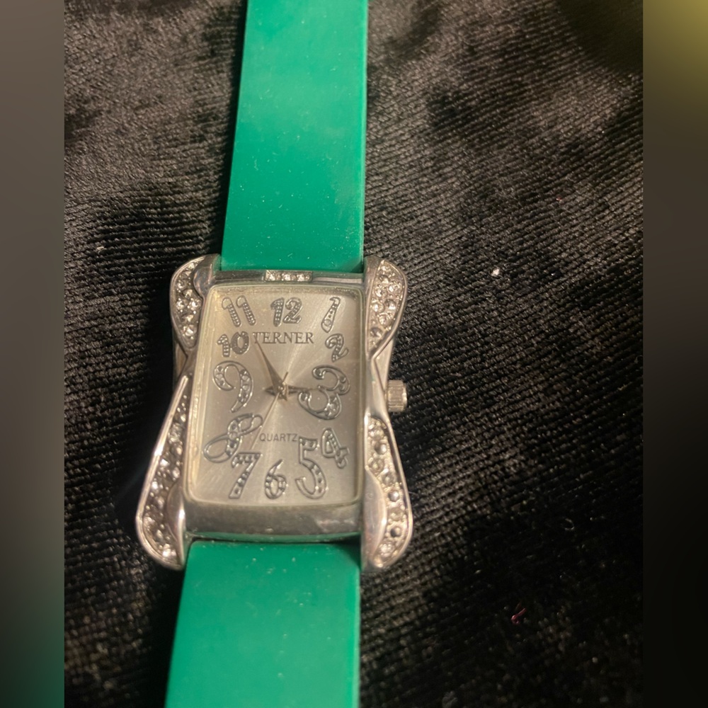 Stainless steel Terner watch FK 0308. Teal band.